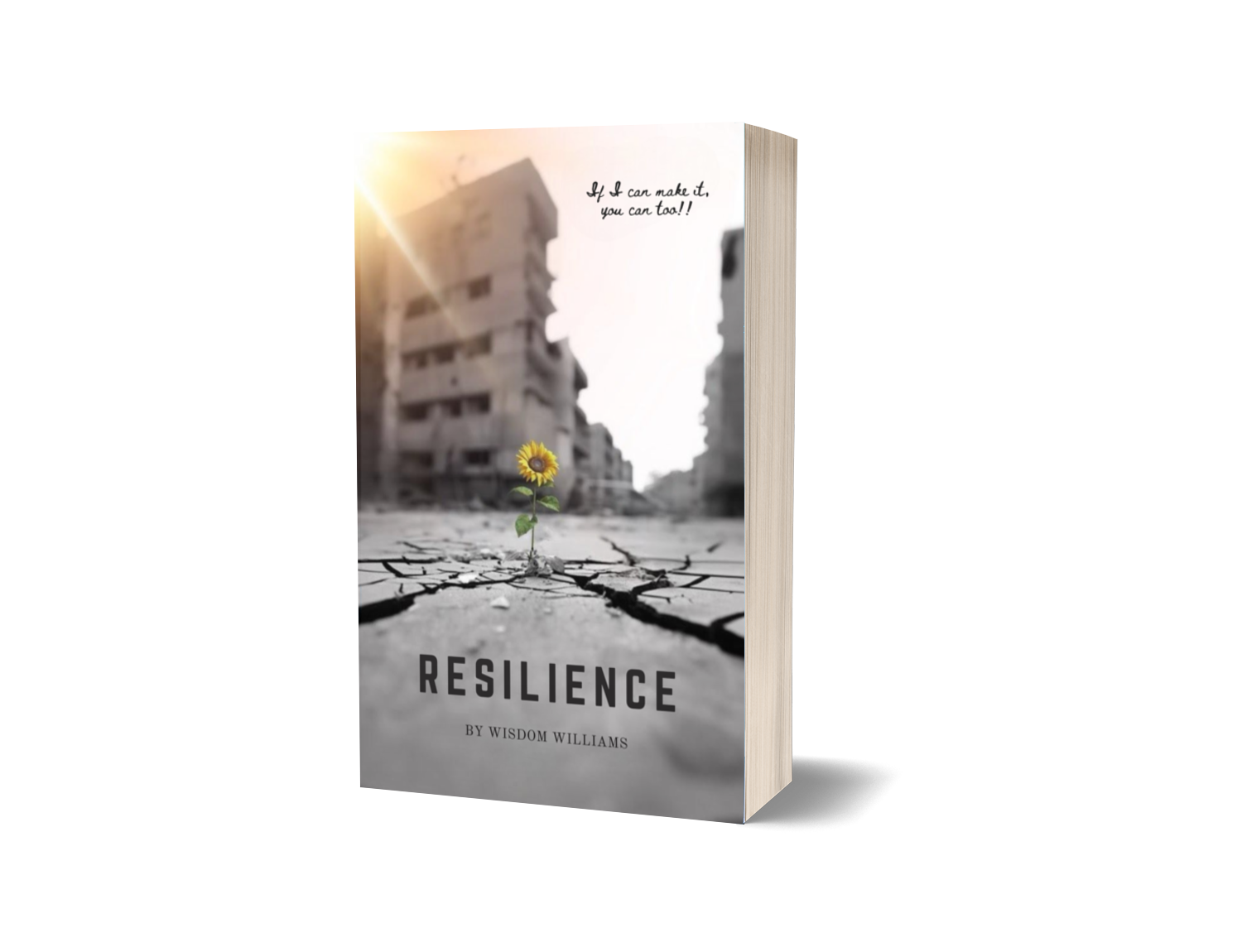 RESILIENCE (Paperback)
